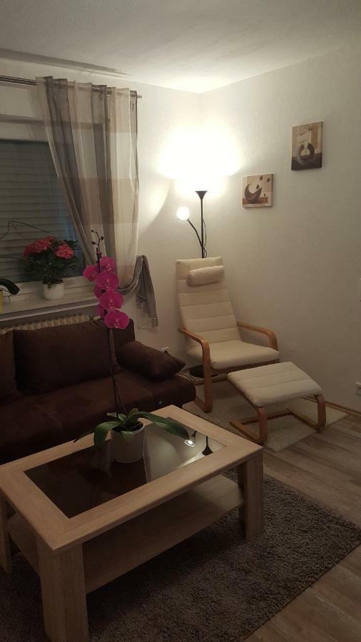 Ochmanns Ferienwohnung Meschede Kültér fotó